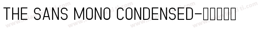 The Sans Mono Condensed字体转换